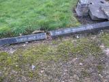 image of grave number 855985